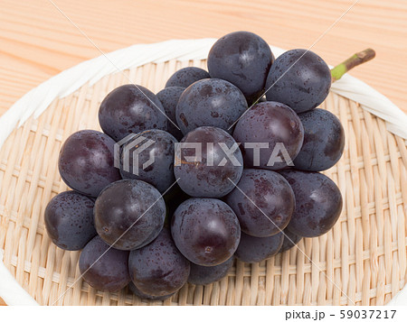 ブドウ　ピオーネ 59037217