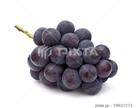 ブドウ　ニューピオーネ 59037271