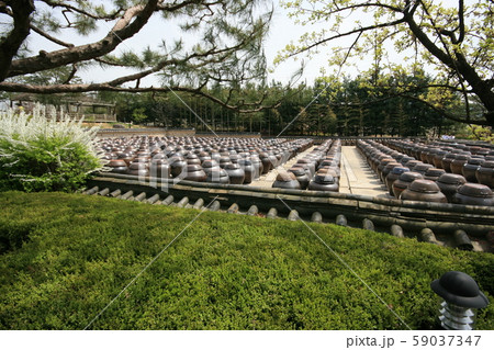 瓶 壺 丘 59037347