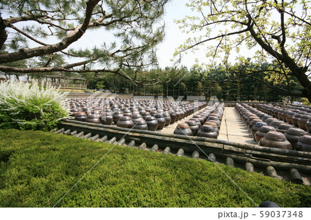 瓶 壺 丘 59037348