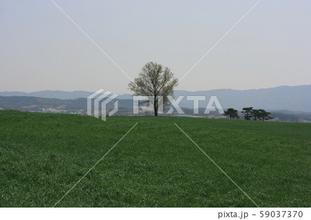 瓶 壺 丘 59037370