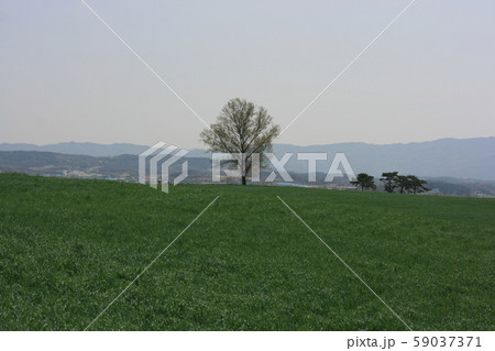 瓶 壺 丘 59037371