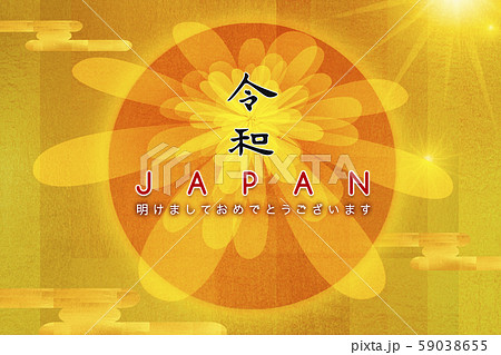 菊 キク 菊の花 59038655