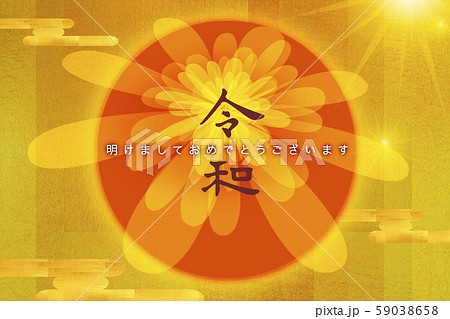 菊 キク 菊の花 59038658