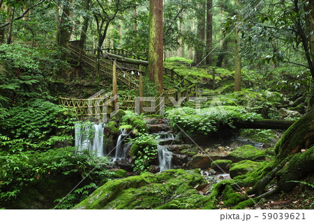 瓜破の滝 59039621