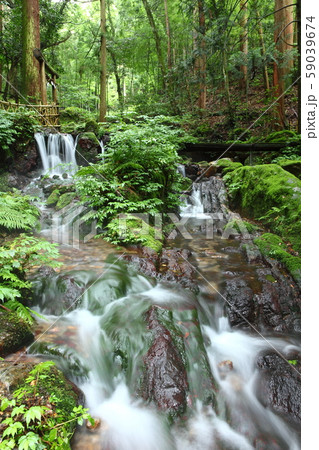 瓜破の滝 瓜破の滝 59039674