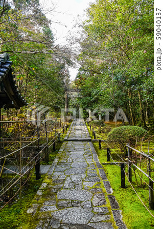京都 金地院 東照宮への参道 京都 金地院 東照宮への参道 59040137