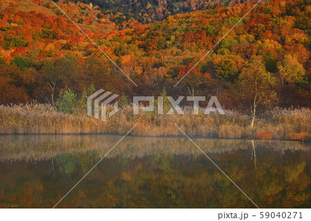 紅葉の御在所沼 59040271