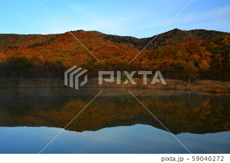 紅葉の御在所沼 59040272