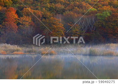紅葉の御在所沼 59040275