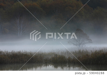 紅葉の御在所沼 59040288