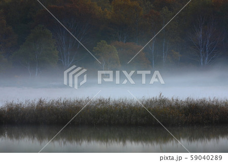 紅葉の御在所沼 59040289