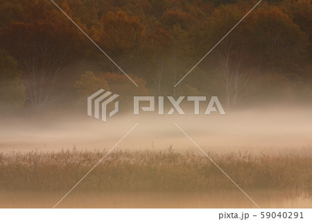 紅葉の御在所沼 59040291