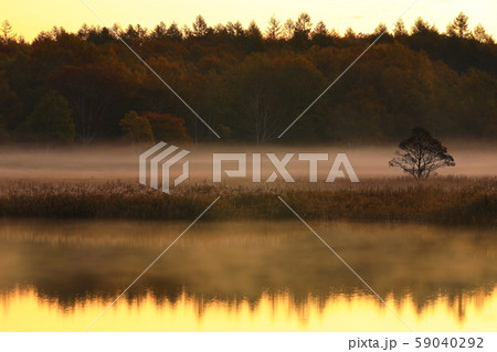 紅葉の御在所沼 59040292