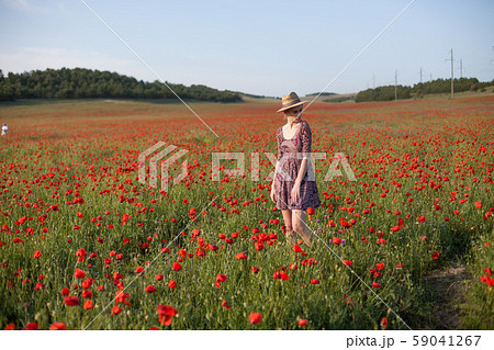 portrait of a fashionable woman in a dress in a field of red poppies 59041267
