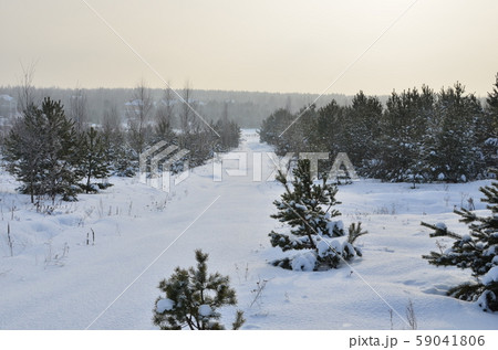 Awesome winter landscape. A snow-covered path among the trees in the wild forest. Awesome winter landscape. A snow-covered path among the trees in the wild forest. 59041806