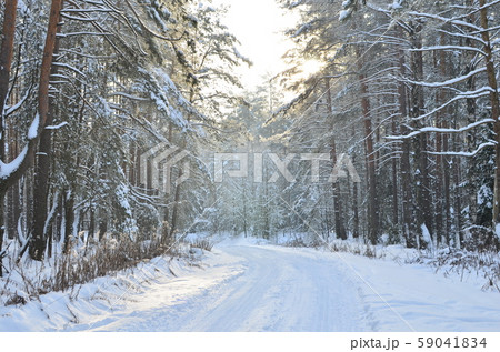 Awesome winter landscape. A snow-covered path among the trees in the wild forest. Awesome winter landscape. A snow-covered path among the trees in the wild forest. 59041834
