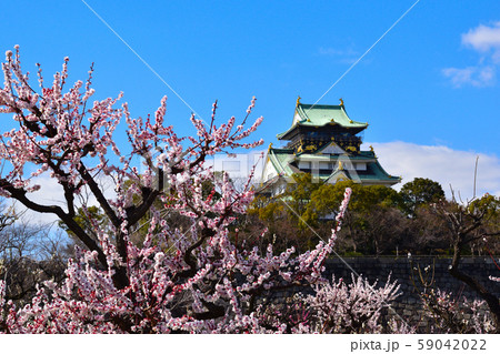 大阪城公園　梅林 59042022