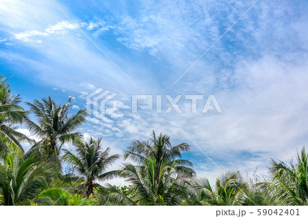 古都フエのリゾート ベトナム 古都フエのリゾート ベトナム 59042401