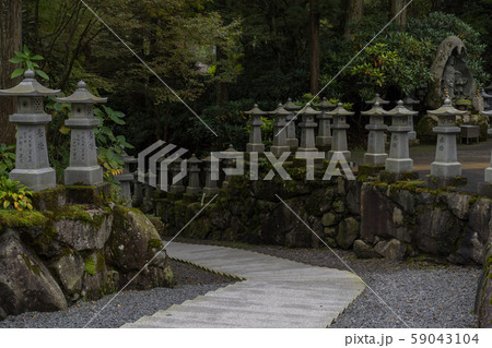 四国霊場第66番札所 雲辺寺 参道 四国霊場第66番札所 雲辺寺 参道 59043104
