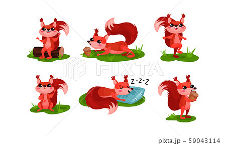 Cartoon Squirrel Character Playing With Nut Vector Set 59043114