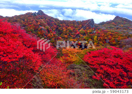 九重連山 大船山山頂付近の紅葉の写真素材