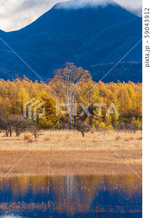 紅葉の小田代ヶ原湿原の写真素材 [59043912] - PIXTA