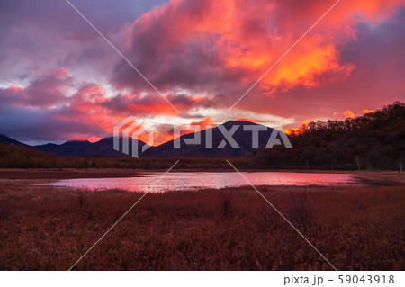 紅葉の小田代ヶ原湿原の写真素材 [59043918] - PIXTA