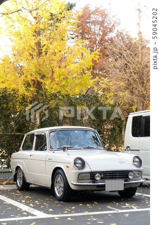 パブリカと銀杏 59045202