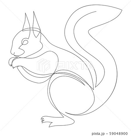 One line squirrel drawing. Squirrel in minimal line style vector illustration 59048900