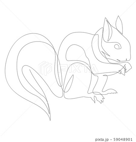 One line squirrel drawing. Squirrel in minimal... - Stock Illustration  [59048901] - PIXTA