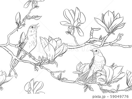 Magnolia tree branch 59049776