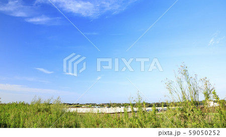 大根畑 大根畑 59050252