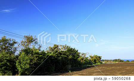 大根畑 大根畑 59050268