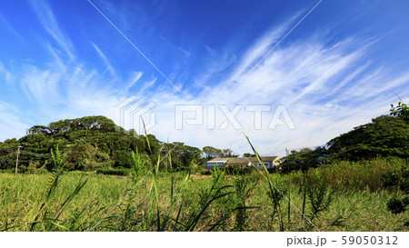 大根畑 大根畑 59050312