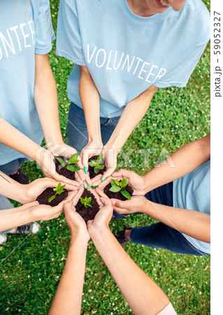 Volunteering. Young people volunteers outdoors together holding trees seedlings hands top view close 59052327