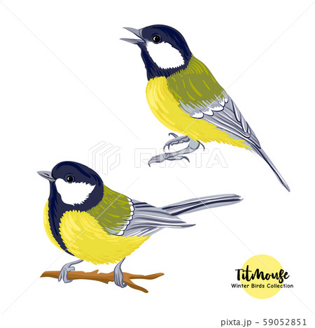 Tit birds - a symbol of winter. Set of elements  59052851