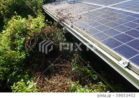 雑草に囲まれた太陽光発電所 雑草に囲まれた太陽光発電所 59053452