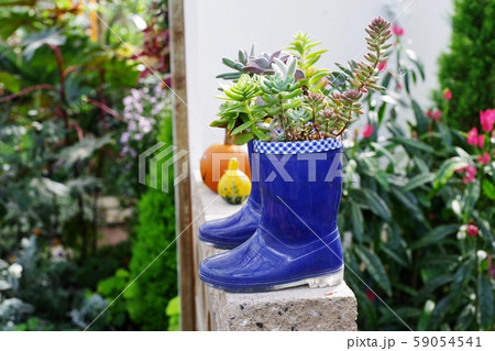 多肉植物 寄せ植え 長靴 【公式通販】
