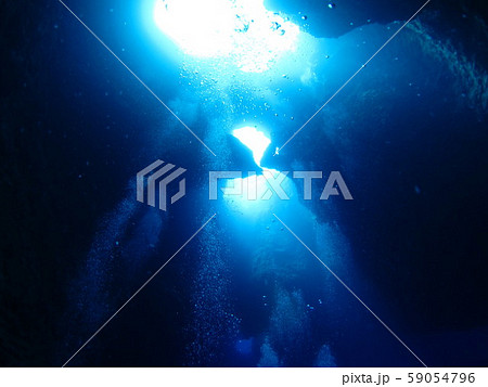 パラオの海　水中洞窟 59054796