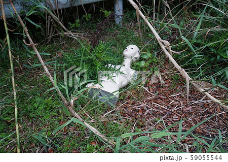 廃墟　室戸市　廃宿泊施設　外部 59055544