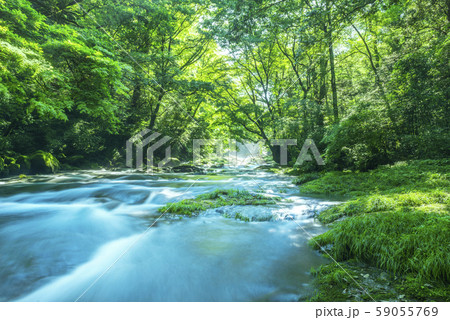 菊池渓谷 菊池渓谷 59055769