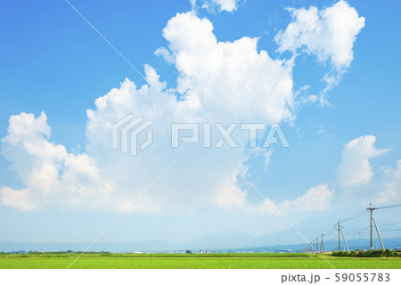 夏の阿蘇平野 夏の阿蘇平野 59055783