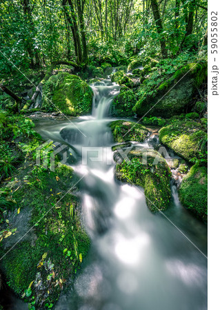 山中 滝 谷 59055802