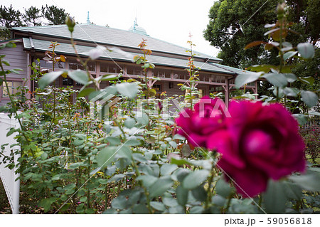 旧横浜ゴム平塚製造所記念館 八幡山の洋館 旧横浜ゴム平塚製造所記念館 八幡山の洋館 59056818