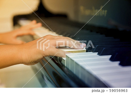 小学生ピアノ発表会イメージ　手元 59056963