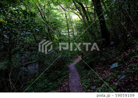 山野狭龍頭峡歩道の山道20171014その8 山野狭龍頭峡歩道の山道20171014その8 59059109