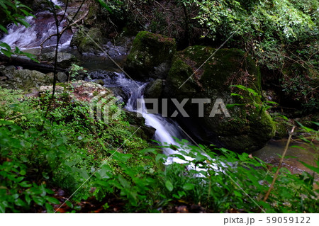 山野狭龍頭峡歩道の山道20171014その２１ 59059122