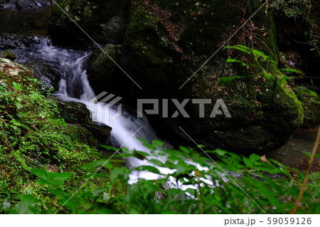 山野狭龍頭峡歩道の山道20171014その２５ 59059126