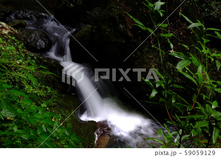 山野狭龍頭峡歩道の山道20171014その２８ 59059129
